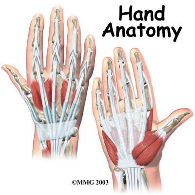 Physiotherapy in Oakville and Burlington for Hand