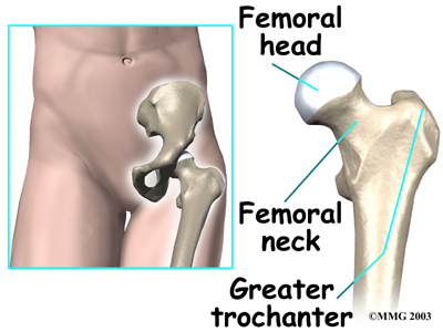 Physiotherapy in Oakville and Burlington for Hip