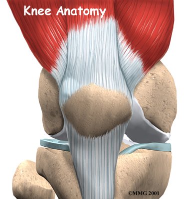 Physiotherapy in Oakville and Burlington for Knee
